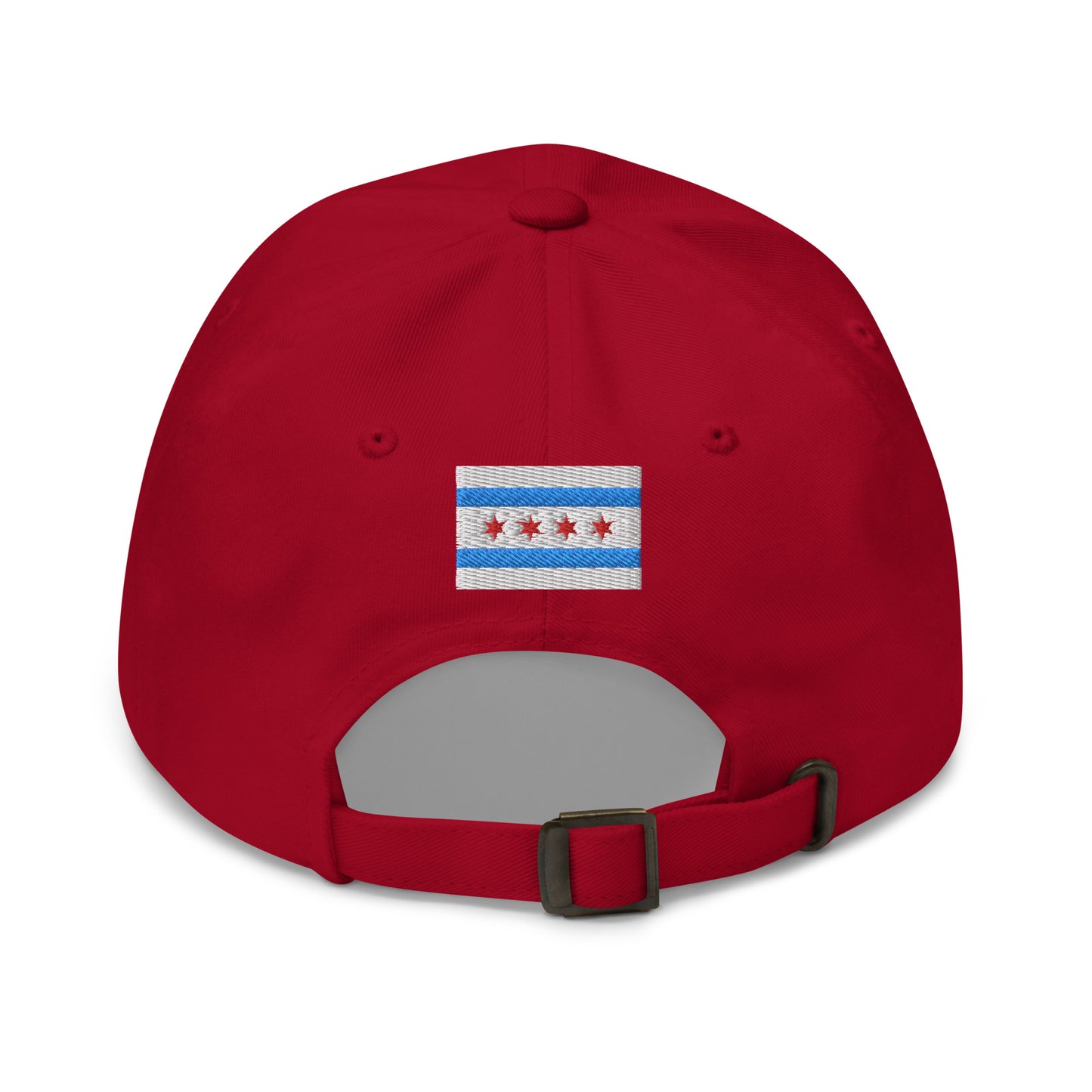 “lake life.” & Chicago Flag Embroidered Baseball Hat