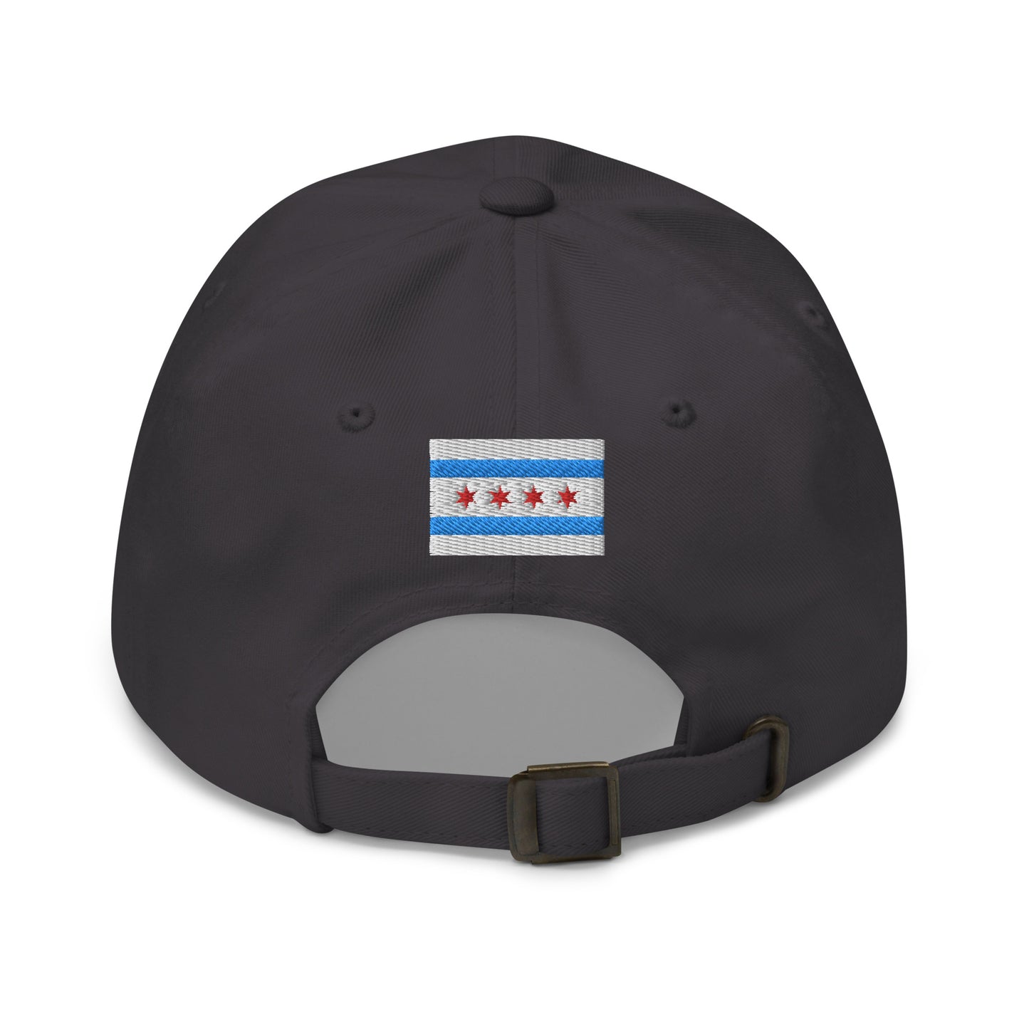 “lake life.” & Chicago Flag Embroidered Baseball Hat