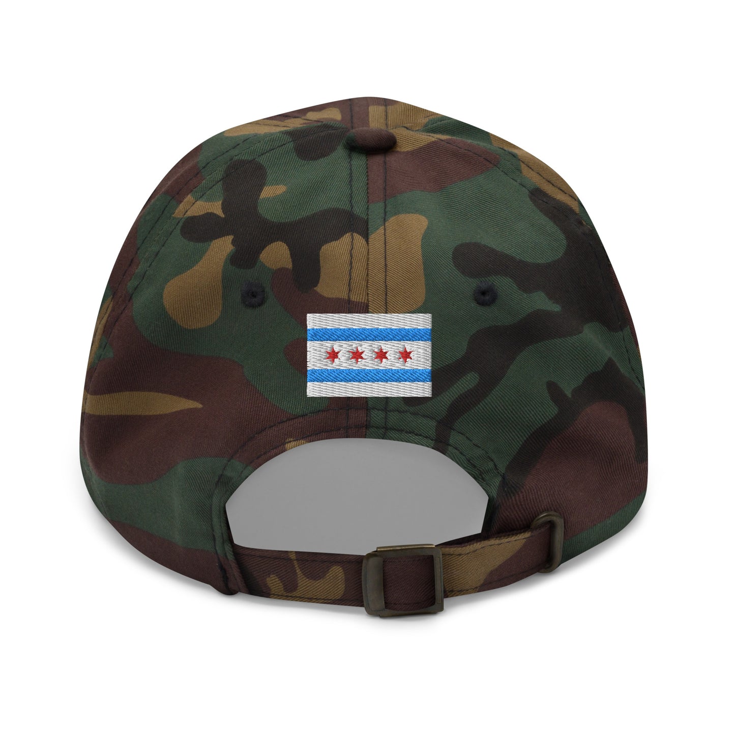 “lake life.” & Chicago Flag Embroidered Baseball Hat