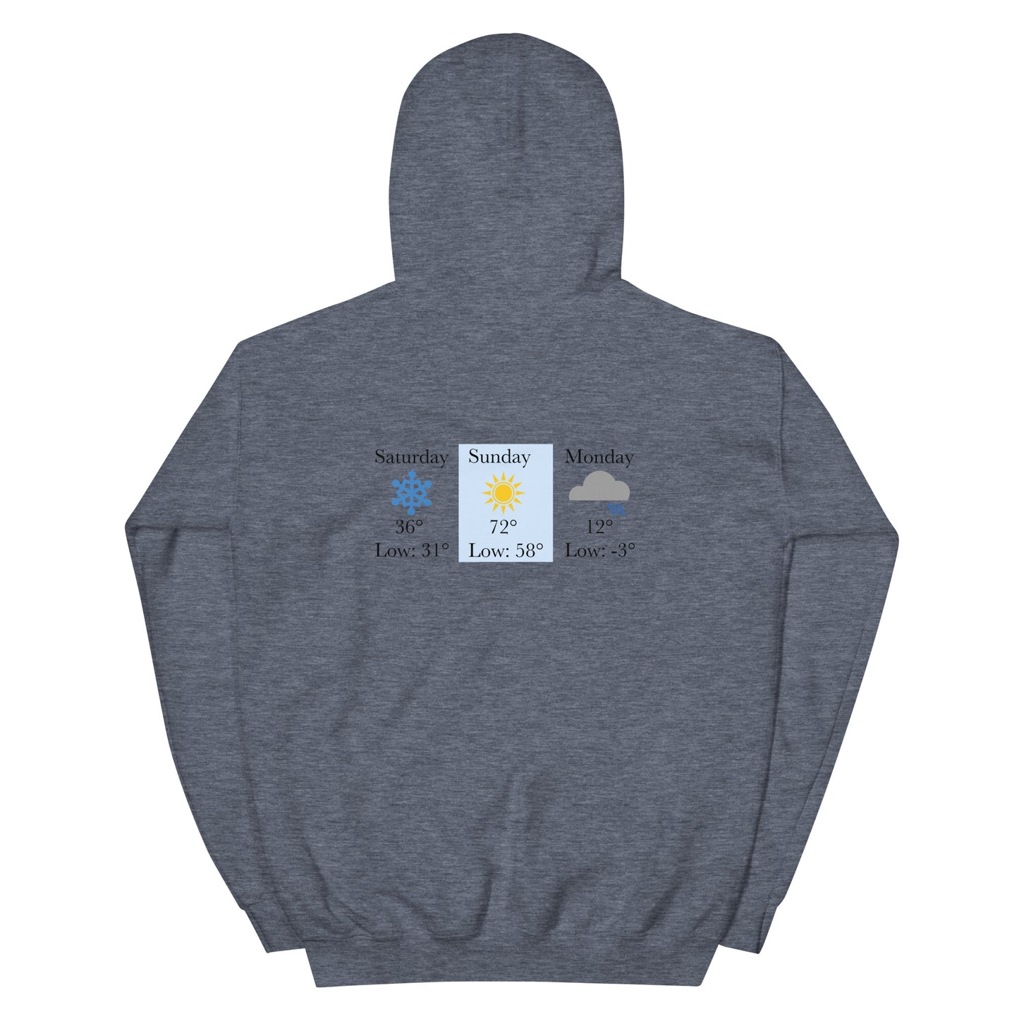 “chicago winters.” (Embroidered front) & Forecast (printed back) Unisex Hoodie
