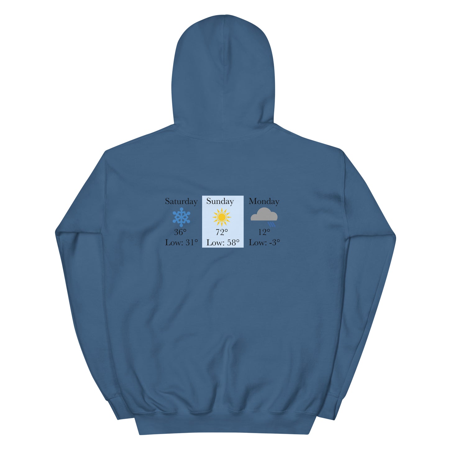 “chicago winters.” (Embroidered front) & Forecast (printed back) Unisex Hoodie