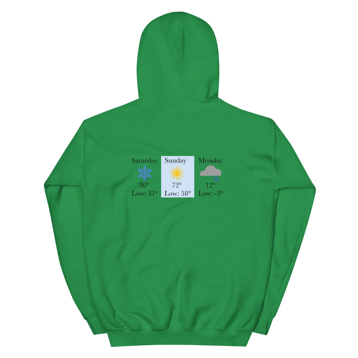 “chicago winters.” (Embroidered front) & Forecast (printed back) Unisex Hoodie