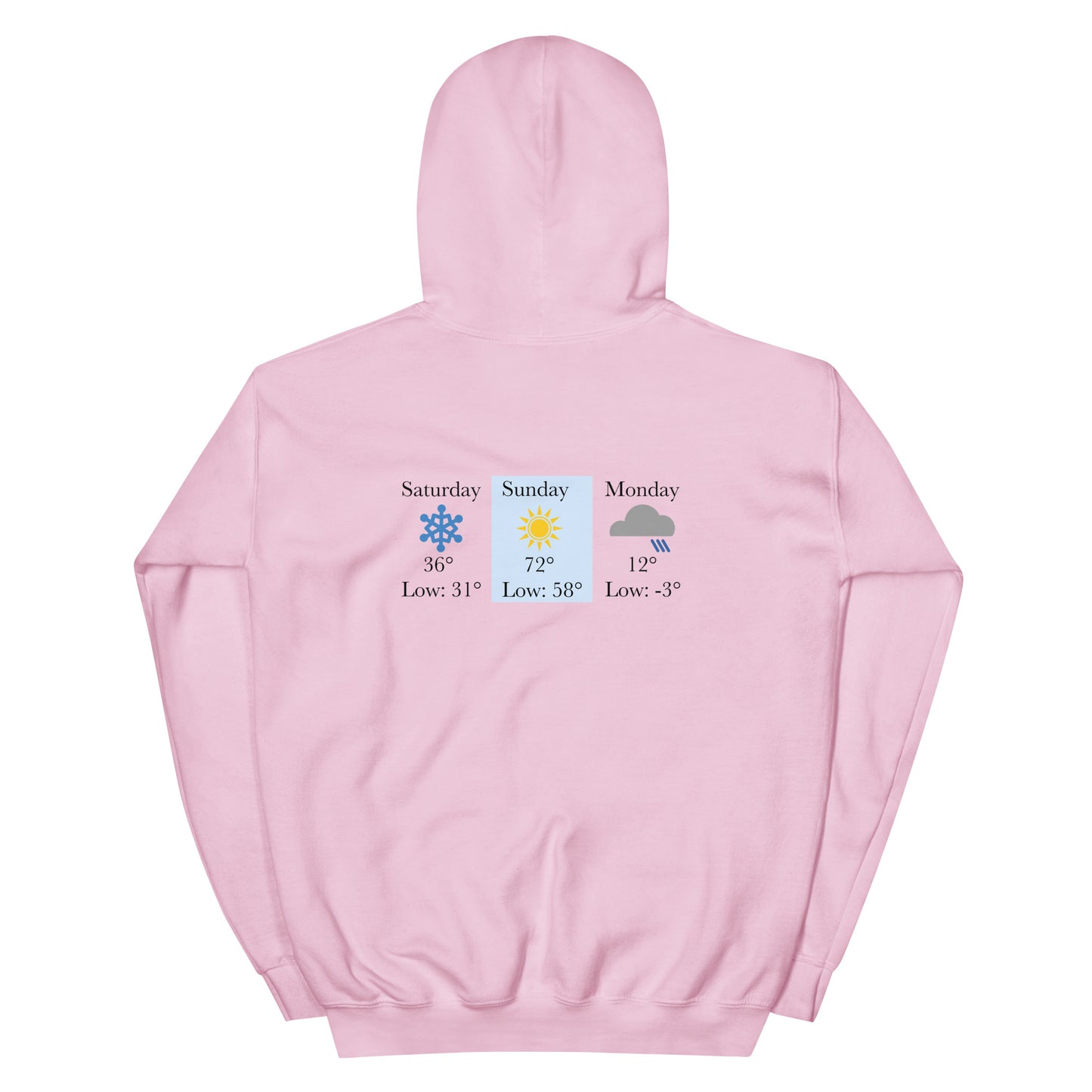 “chicago winters.” (Embroidered front) & Forecast (printed back) Unisex Hoodie