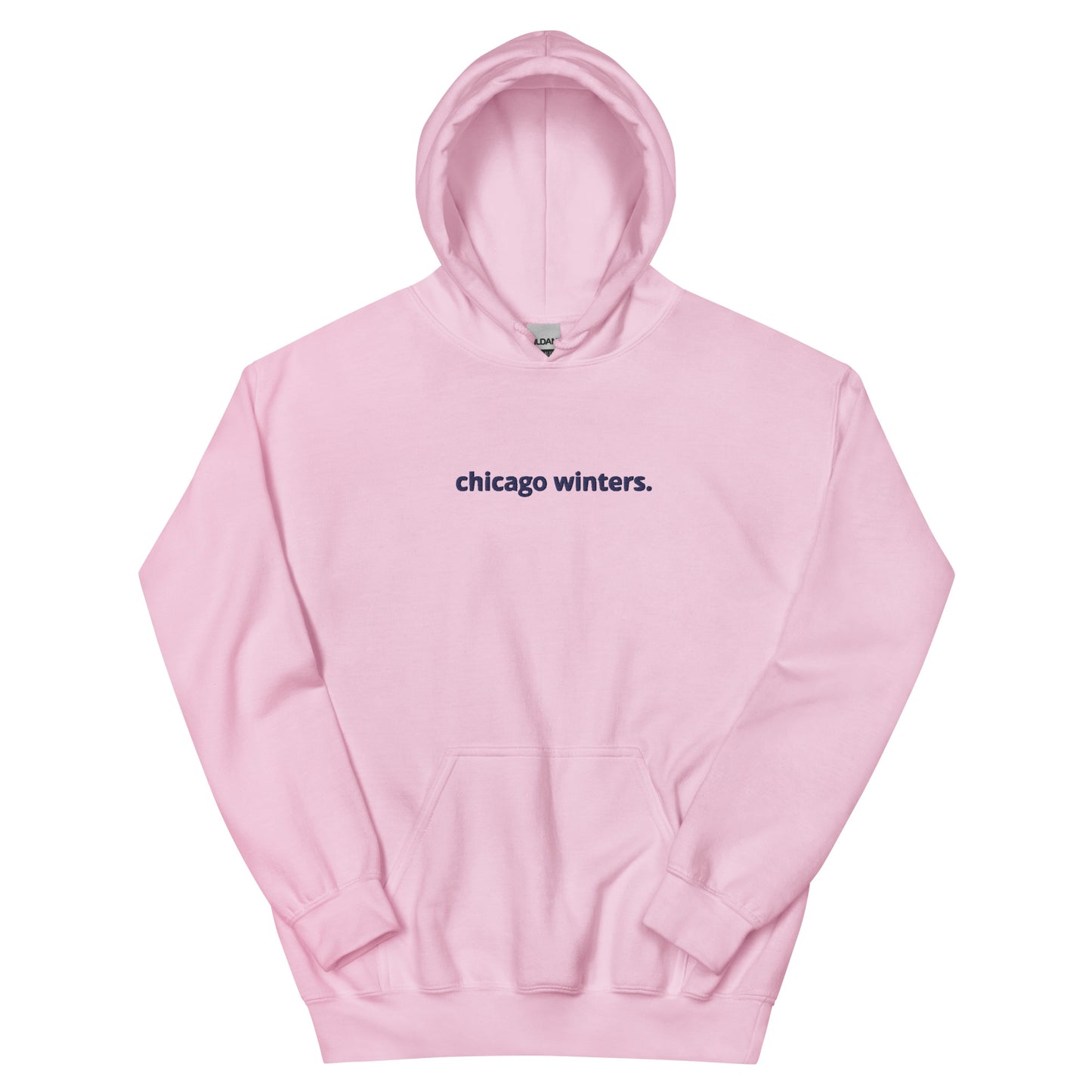 “chicago winters.” (Embroidered front) & Forecast (printed back) Unisex Hoodie