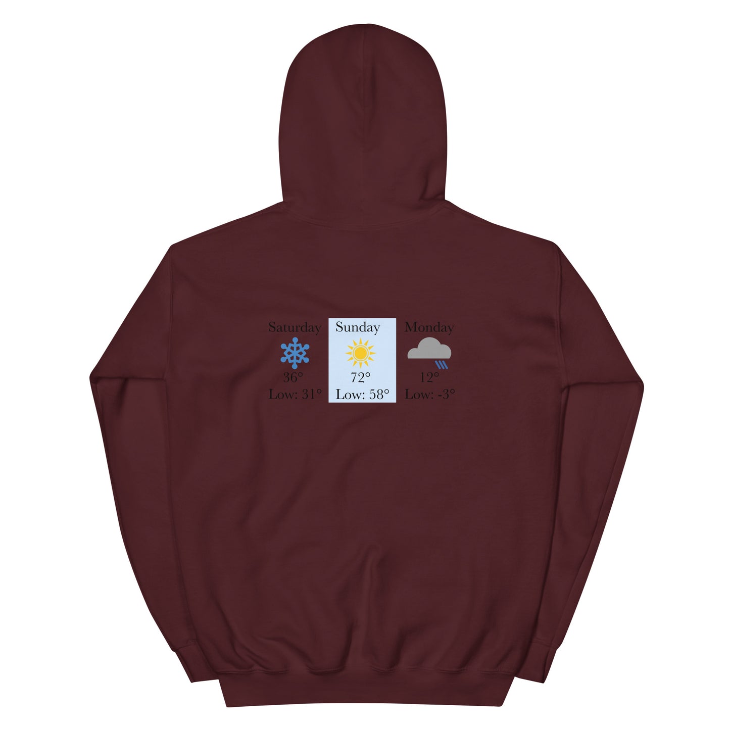 “chicago winters.” (Embroidered front) & Forecast (printed back) Unisex Hoodie