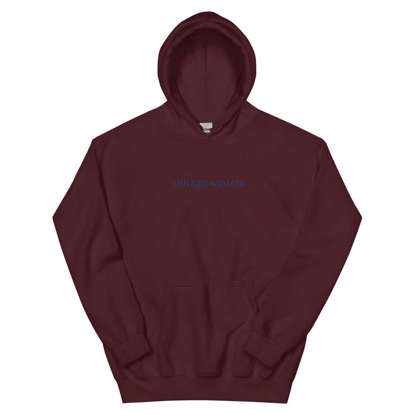 “chicago winters.” (Embroidered front) & Forecast (printed back) Unisex Hoodie