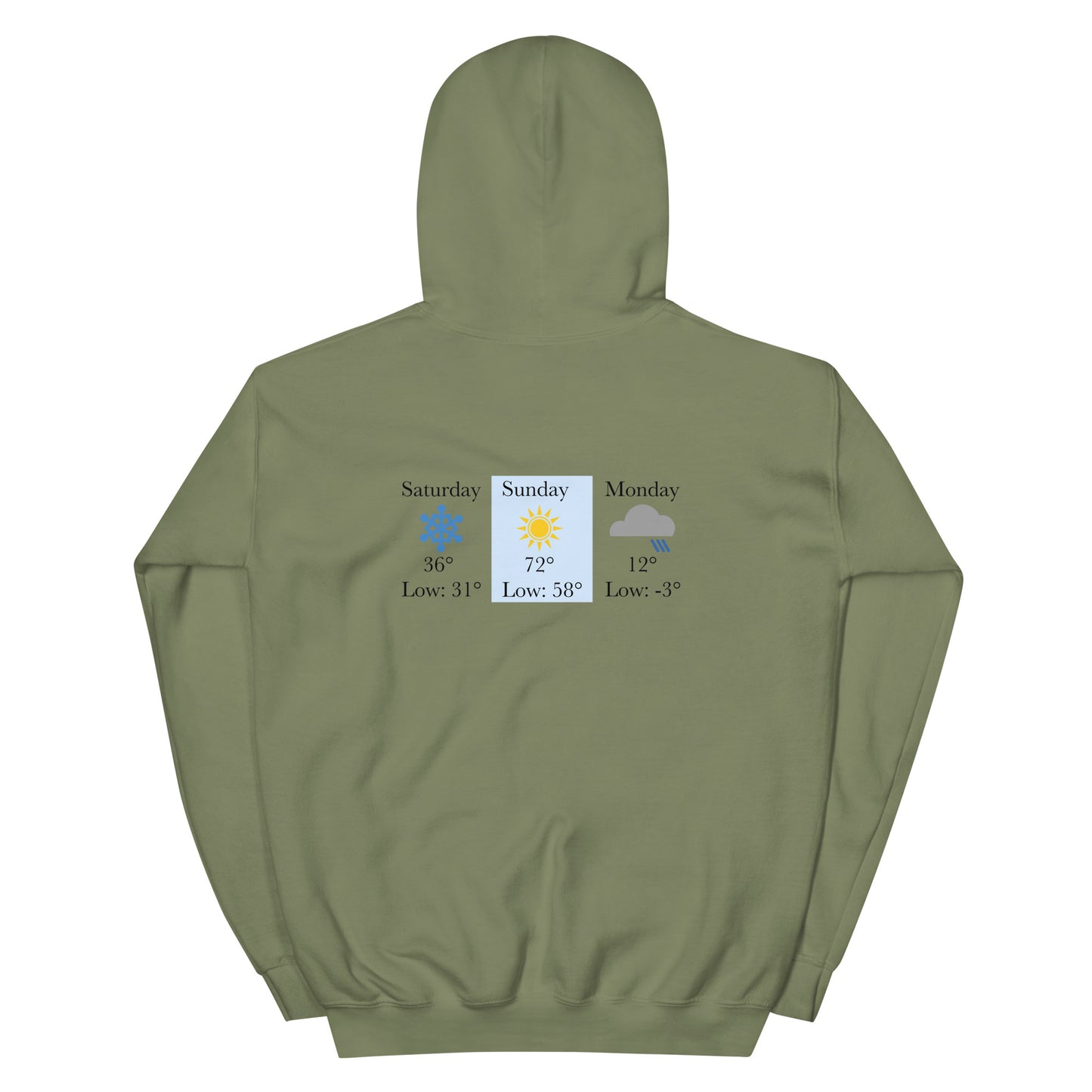 “chicago winters.” (Embroidered front) & Forecast (printed back) Unisex Hoodie