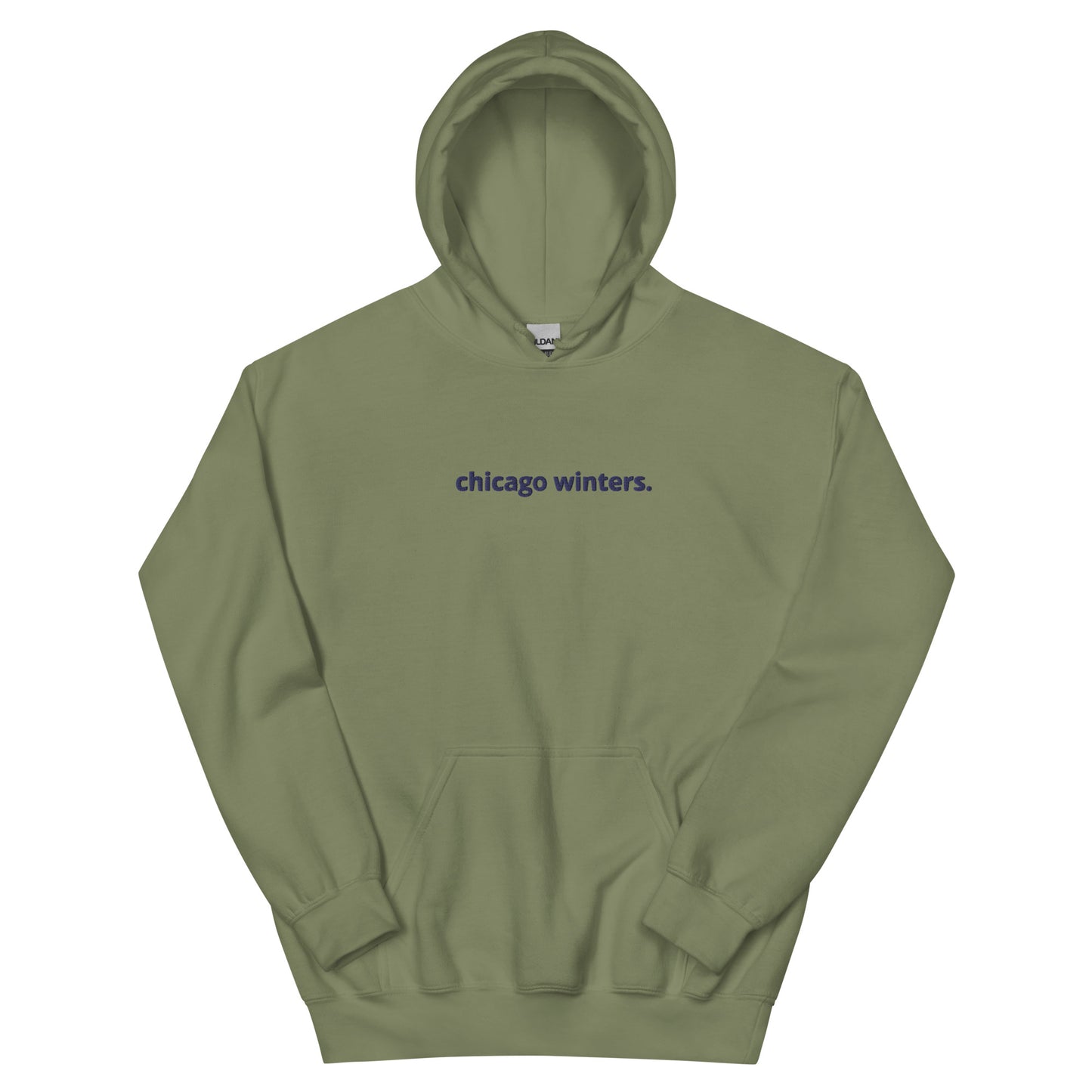 “chicago winters.” (Embroidered front) & Forecast (printed back) Unisex Hoodie