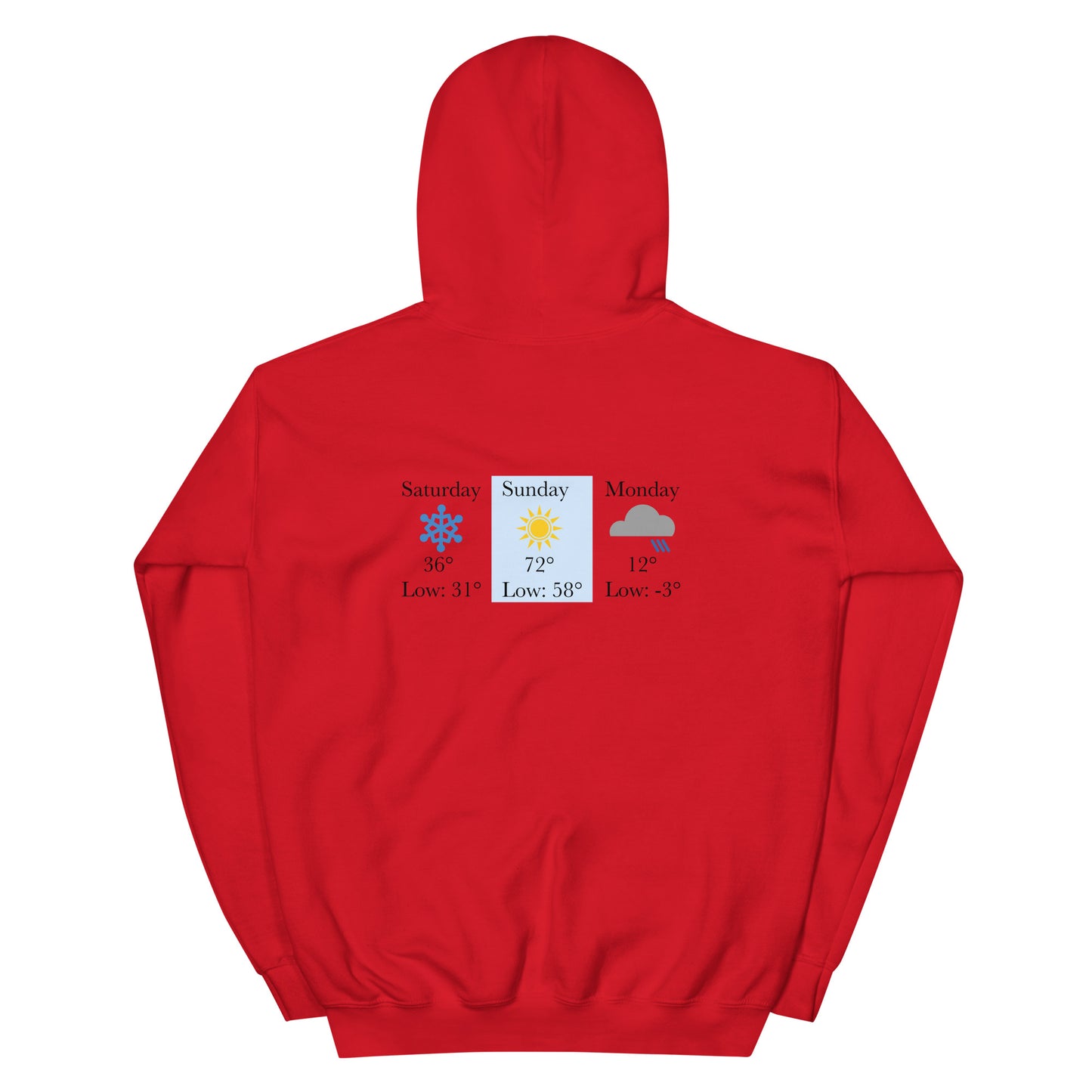 “chicago winters.” (Embroidered front) & Forecast (printed back) Unisex Hoodie