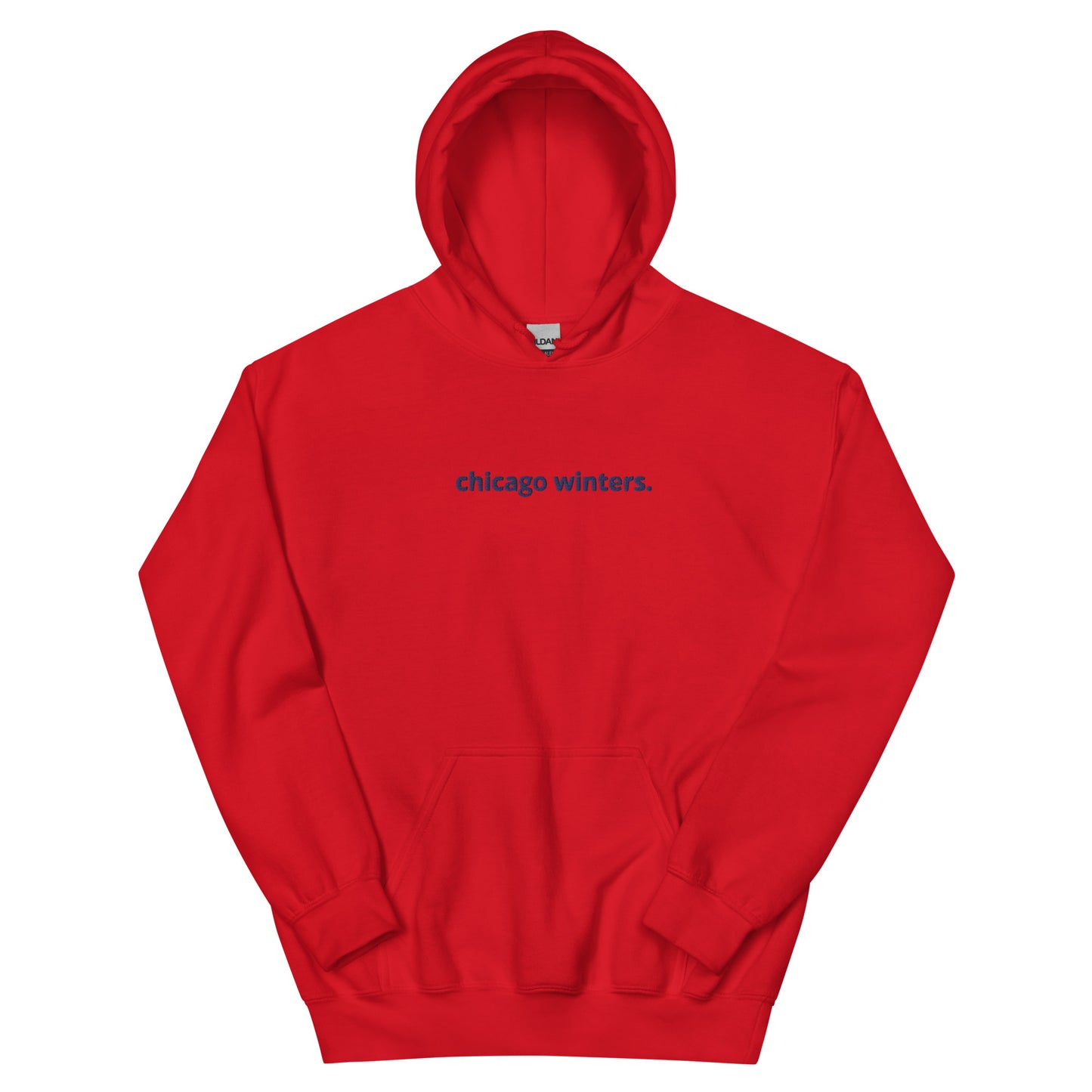 “chicago winters.” (Embroidered front) & Forecast (printed back) Unisex Hoodie