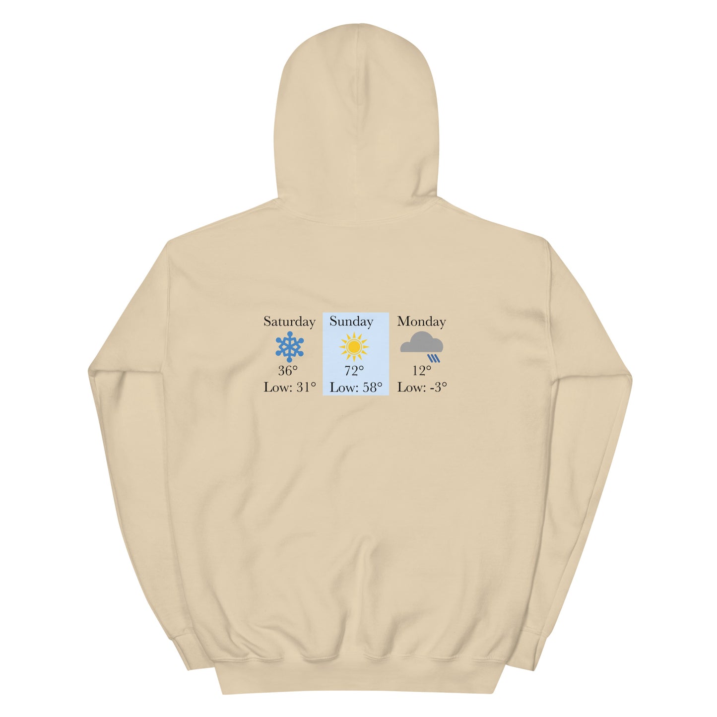 “chicago winters.” (Embroidered front) & Forecast (printed back) Unisex Hoodie