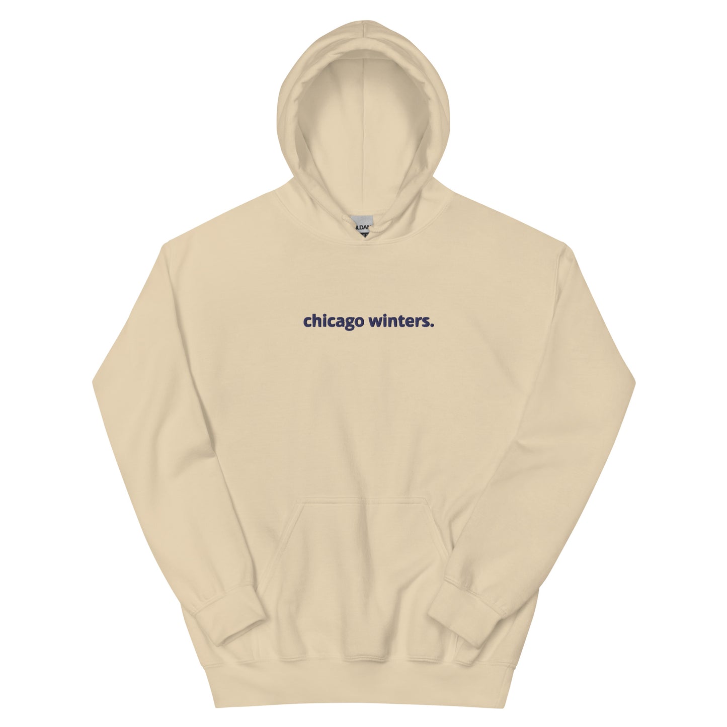 “chicago winters.” (Embroidered front) & Forecast (printed back) Unisex Hoodie