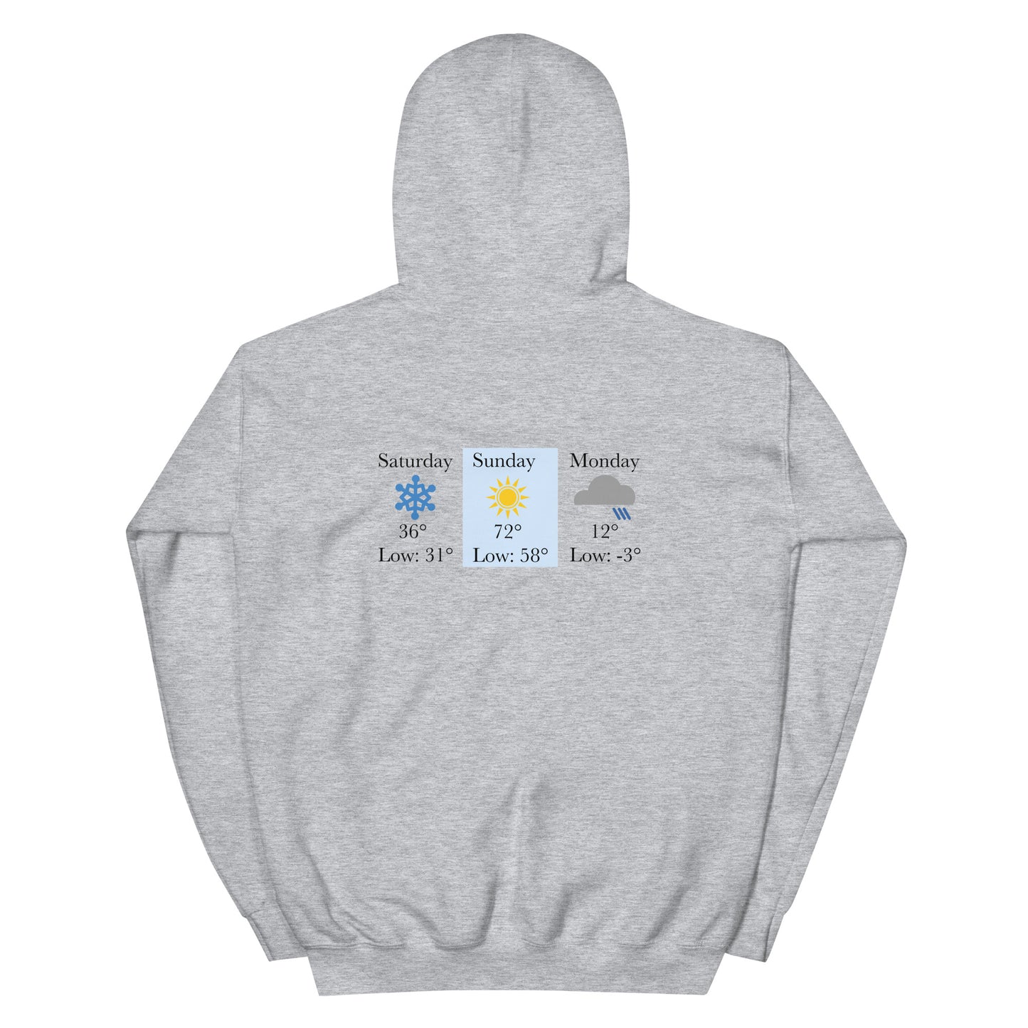 “chicago winters.” (Embroidered front) & Forecast (printed back) Unisex Hoodie