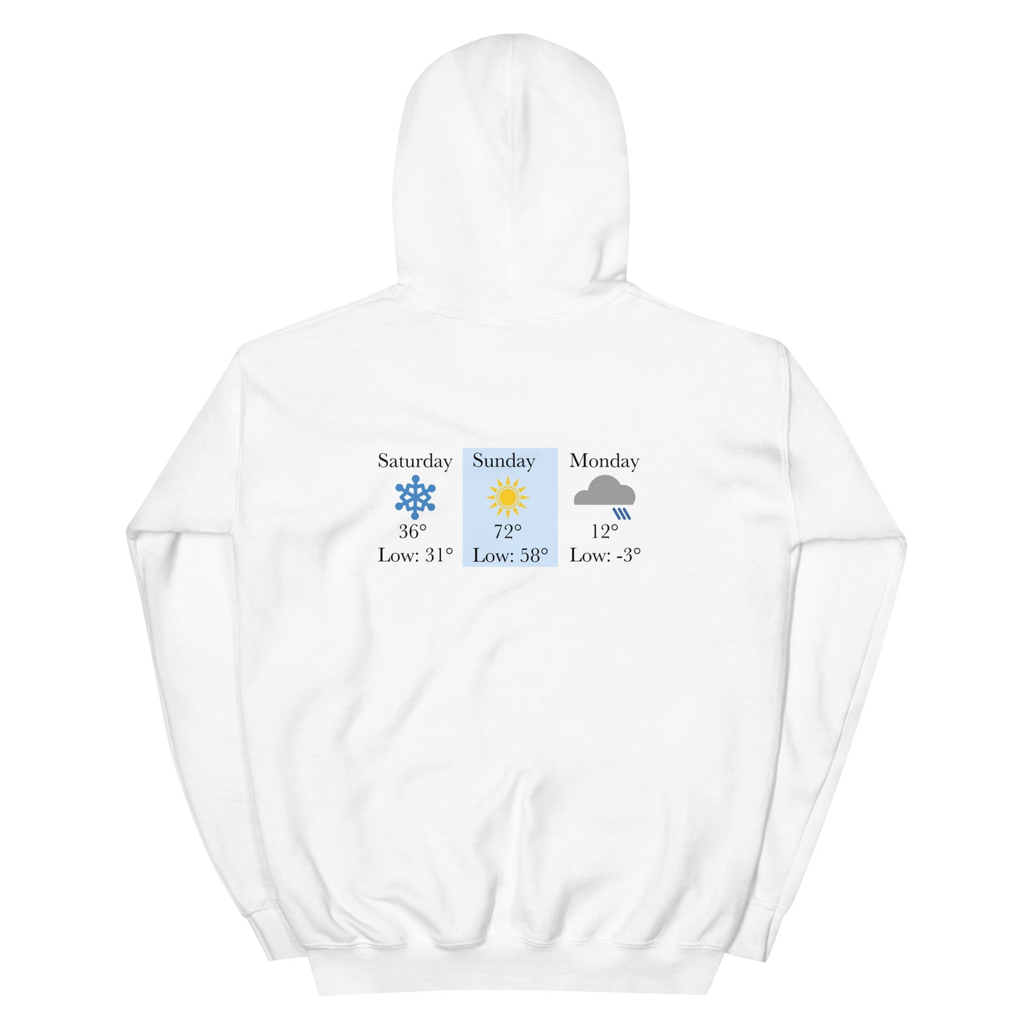 “chicago winters.” (Embroidered front) & Forecast (printed back) Unisex Hoodie