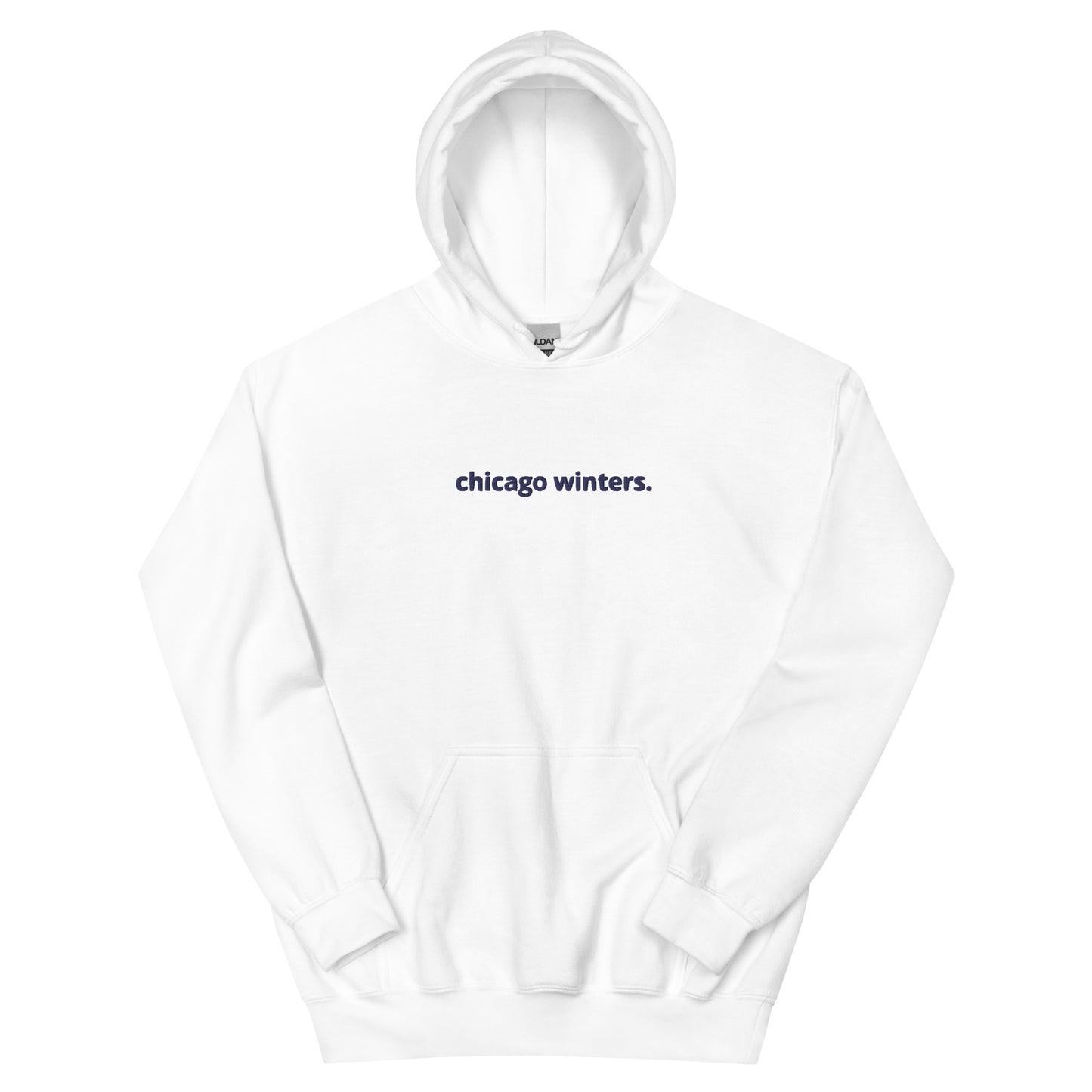 “chicago winters.” (Embroidered front) & Forecast (printed back) Unisex Hoodie